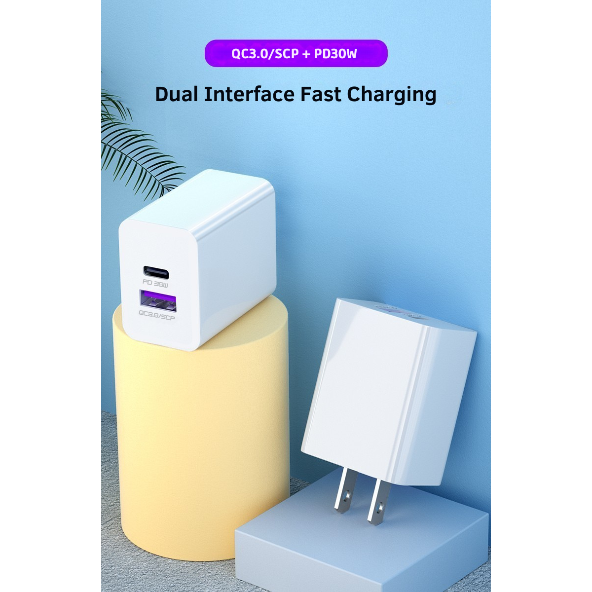 30W Power Adapter